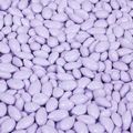 Chocolate Covered Candy Pastel Purple Sunflower Seeds
